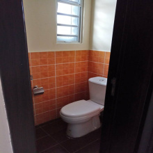 Guest Toilet