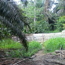 Land,For Sale,1091